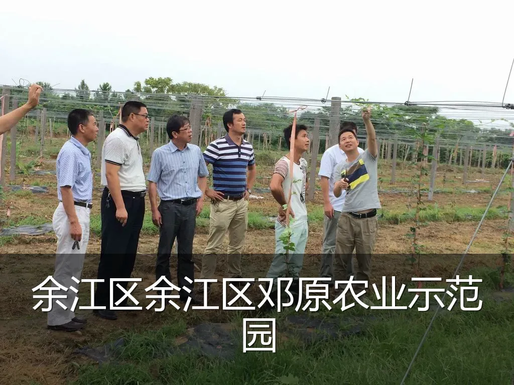 余江区余江区邓原农业示范园