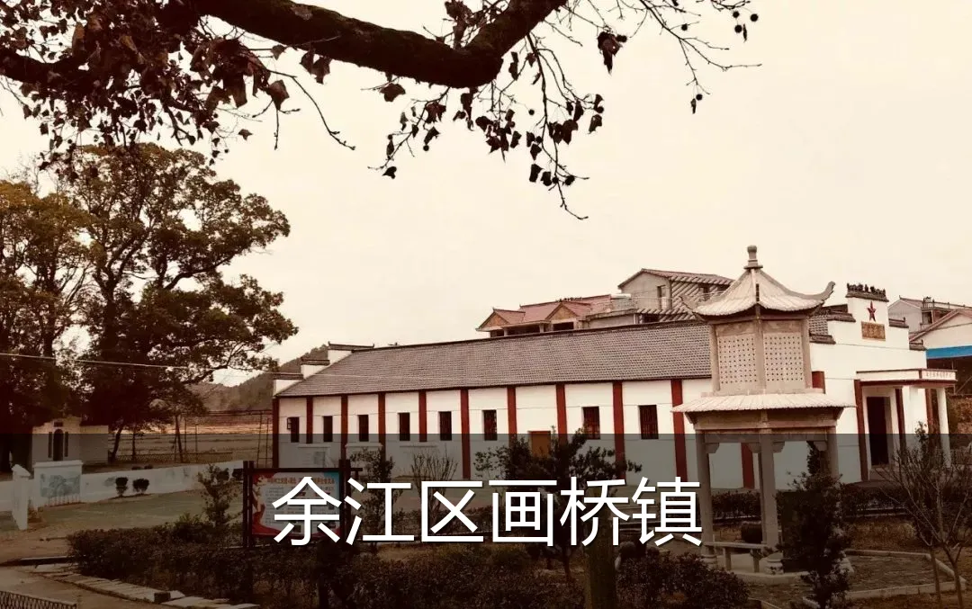 余江区画桥镇